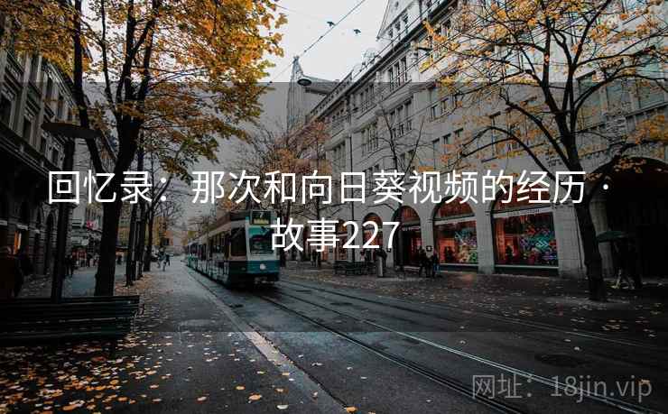 回忆录：那次和向日葵视频的经历 · 故事227